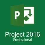 Project 2016 Professional Online Key License