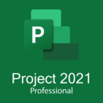 Project 2021 Professional Online Key License