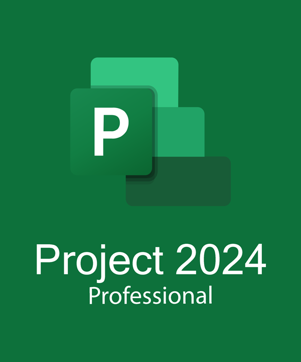 Microsoft Project 2024 Professional — Bind Key