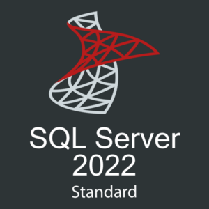Microsoft SQL Server 2022 Standard Online Key License