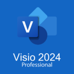 Visio 2024 Professional Bind Key License