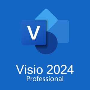 Visio 2024 Professional Bind Key License